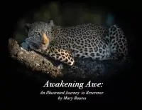 在飛比找博客來優惠-Awakening Awe: An Illustrated 
