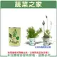 【蔬菜之家004-E00-1】iPlant易開罐花卉-薰衣草2入/組(2入優惠價-單罐85元) 種子 園藝 園藝用品 園藝資材 園藝盆栽 園藝裝飾