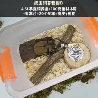 在飛比找Yahoo!奇摩拍賣優惠-特價獨角仙飼養套餐寵物甲蟲成蟲用品昆蟲飼養爬蟲鍬甲造景箱套裝