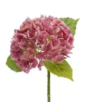 6 Pcs Artificial Pink Color RT Hydrangea Stem 51cm Home/Office Party Decor