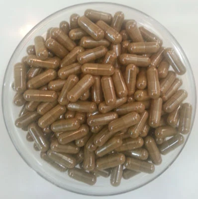 Andrographolide 20% HPLC High Quality Andrographis paniculata Extract Capsules
