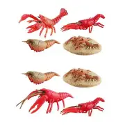 Lobster Life Cycle Model Lifelike Playset Display Science Toy Life Cycle Lobster