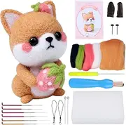 BAGERLA Needle Felting Kit for Beginners, Wool Needle Felting DIY Starter Kit with Tools and Instructions, Wool Felting Supplies for DIY Art Craft