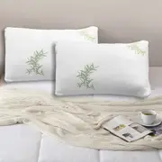 2 Pack Ramesses Bamboo Memory Foam Pillows & Bamboo Jacquard Pillow Protectors