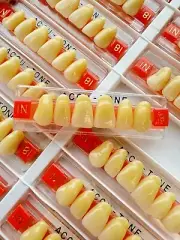 Acrylic Resin False Teeth Accutone Anterior Upper A3.5/81-1N dentures box 120ps