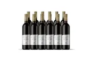 12 Bottles of 2023 The Vault Shiraz 750ML