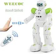 WEECOC RC Robot Toys Gesture Sensing Smart Robot Toy for Kids Can Singing Dancing Speaking Christmas Birthday Gift (R11 Green)
