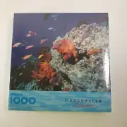 SPRINGBOK by Hallmark Jigsaw Puzzle 1,000 Piece - Underwater Wonders PZL6164