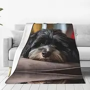 Cute Black Pug Dog Ultra-Soft Micro Fleece Blanket - Cozy and Lightweight Seasons