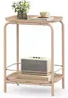 2-Tier Side Table, Outdoor Accent End Table,Small Sofa Couch Table, Coffee Table