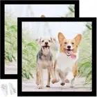12X12 Picture Frame Set of 2, Black Square Photo Frames High Transparent-Wall