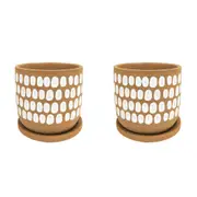 2x Urban Tessa 11.5cm Ceramic Dot Planter w/ Saucer Flower/Plant Pot Small Mocha