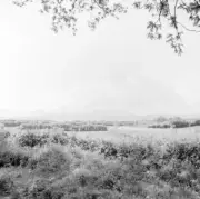 Galtees from Tipperary Town Road Tipperary Tipperary Ireland Railway OLD PHOTO