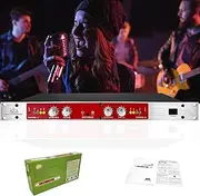 882I Vocal Effects Processor, Audio Enhancer, Sound Exciter Maximizer, Studio Equipment for House Karaoke, Stage, Performance