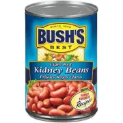 Bush's Best Light Red Kidney Beans 16 oz