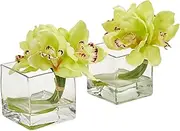 Nearly Natural 1824-S2-GR Cymbidium Orchid Artificial Glass Vase (Set of 2) Silk Arrangements, Green