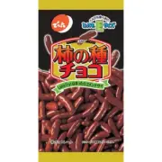 Denroku Kakinotane Chocolate 34g – Sweet & Salty Japanese Snack Bite-Size Treat