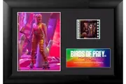 FilmCells: Mini-Cell Frame - Birds Of Prey (S2)