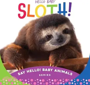 Hello Baby Sloth!