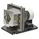 OPTOMA原廠投影機燈泡BL-FS220A/SP.86S01GC01適用DP7259、EP770 (10折)