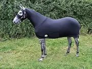 Ruggles Water Repellent Lycra Bodysuit for Horse & Pony | Detachable Tail Sleeve | Stretch Under Rug | Helps Keep Horse/Pony Clean before Shows, Travel or in Stable (Large Without Ears, Black)