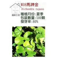 在飛比找momo購物網優惠-【蔬菜工坊】M08.馬蹄金種子(金錢草)