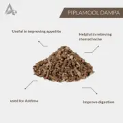 PIPLA MOOL DAMPA – PIPLAMOOL – PEEPLA MOOL – PEEPAL ROOT shiping free