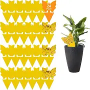 H HOME-MART 24 Pack Yellow Dual Sided Gnat Trap Sticky Fruit Fly Fungus Gnat ...