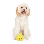 All Day Plush Chick wChicken Scented TPR Spiny Ball Dog Toy