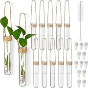 Baderke Plastic Hanging Propagation Tubes Propagation Station Vases Wall Hanging Plant Vase for Planters Hydroponic Office Garden Flowers Decor Lover Gift(Natural Color,12 Pack)