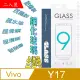 Vivo Y17 (全透明/二入裝) 鋼化玻璃膜螢幕保護貼