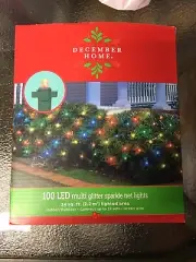 December Home 100 LED Multi Color Net Lights 24 Sq Ft. Indoor/Outdoor