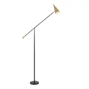 Jamina Black Brass Contemporary Floor Lamp