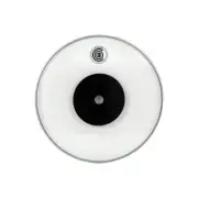 Code Law Clear Drumhead 10"
