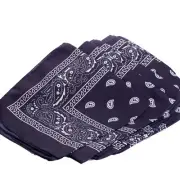 Classic Paisley Design Cowboy Square Polyester Bandana, Blue, One-Size 20"