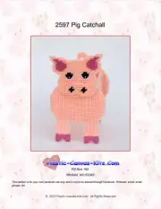 Pig Catchall-Plastic Canvas Pattern or Kit