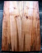 Curly spalted ink line ambrosia maple drop top .31" thk bass guitar luthier 2270