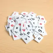 EZread Lowercase Letter Tiles, Set of 77 - Ages 4-9, K-3, Alphabet For , Lite...