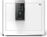 Safe Box, Fireproof & Waterproof, Biometric & Electronic Lock, Alloy Steel, Floor-Standing, 15 Pounds, for Home, Hotel, Dormitory & Office Use