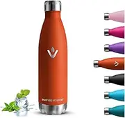 Stainless Steel Drinking Bottle, 750 ml, BPA-Free, Leak-Proof Drinking Bottle, with Screw Cap, Suitable for Carbonated Drinks, Insulated Flask, Double-Walled, for School, Camping, Travel