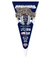 126902 GEELONG CATS 2022 AFL PREMIERS TEAM IMAGE FELT WALL PENNANT BANNER FLAG