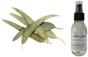 Eucalyptus Leaf - Room Spray