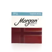 Morgan AM12 12-53 Acoustic Guitar Strings One Set