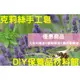 尤加利精油10ML+羅勒精油10ML+真正薰衣草精油10ML