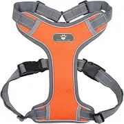 No Pull Dog Harness, Adjustable Reflective Waterproof Mesh Padded Vest, D Ring for Lead, 3 Colours (Orange, S)