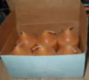 Partylite 1 box PERSIMMON CIDER Votives NIB RARE