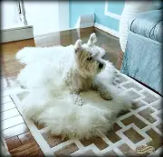 Thick Shaggy White Sheepskin Faux Fur Area Rug, Plush Shag