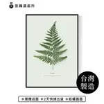 躍動的生命力/畫/植物畫作/客廳掛畫/咖啡廳/藝廊牆/玄關/複製畫/家居佈置/哪裡買畫/北歐風