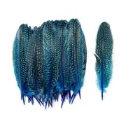 6-9 inch Natural Guinea Wing Plumage Feather Guinea wing plumage Feather Blue