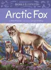 Animals Illustrated: Arctic Fox (Animals Illustrated) by Brian Koonoo